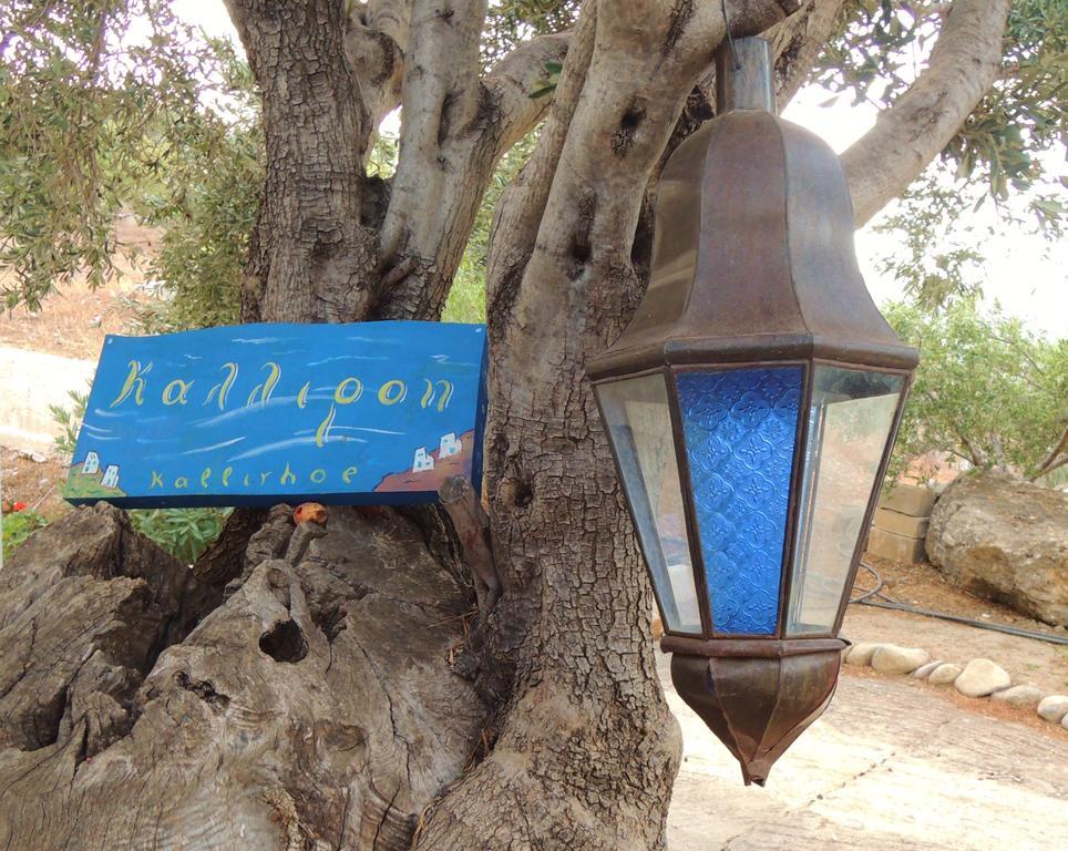 Kalliroe Apartments -Creta Agia Galini Exteriér fotografie