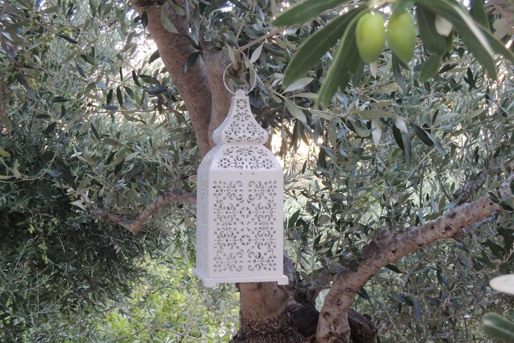 Kalliroe Apartments -Creta Agia Galini Exteriér fotografie